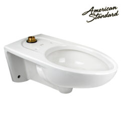 1.0 - 1.6 GPF WALL HUNG ELONG WHITE CLOSET