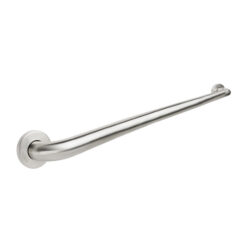 CHG 01990 42" SANIGUARD GRAB BAR W/CONC FLANGE