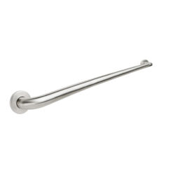 CHG 01991 48" SANIGUARD GRAB BAR W/CONC FLANGE