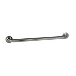 S/S GRAB BAR 24" STRAIGHT EXPOSED FLANGE