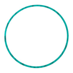 ARMSTRONG 426401-005 PUMP CASING / BODY GASKET - NITRILE