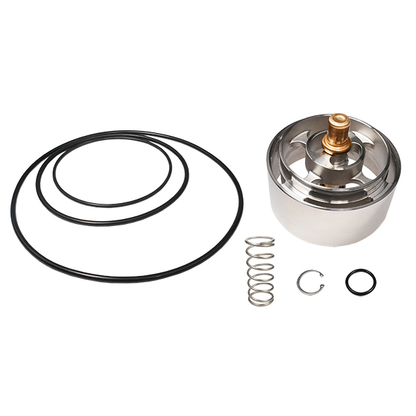 LEONARD VALVE KIT R/XL-150 COMPLETE VALVE REPAIR KIT LEONARD VALVE KIT R/XL-150 COMPLETE VALVE REPAIR KIT