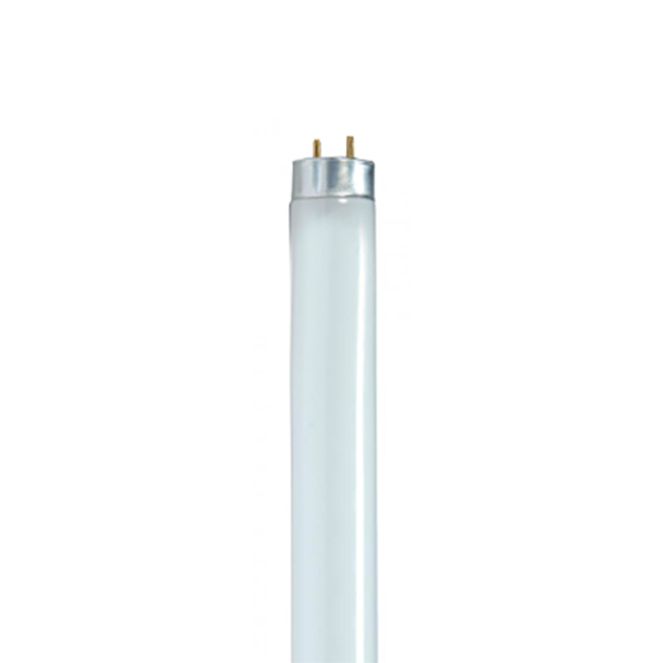32 WATT 4’ T8 LINEAR FLUORESCENT COOL WHITE MEDIUM BI PIN BASE LAMP (30 PC) 32 WATT 4’ T8 LINEAR FLUORESCENT COOL WHITE MEDIUM BI PIN BASE LAMP (30 PC)