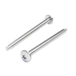 SHOWER VALVE CP ESCUTCHEON SCREWS (1 PR)